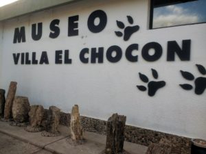 Lee más sobre el artículo Vamos al Museo del Chocón
