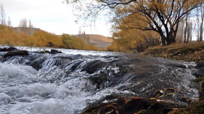 Lee más sobre el artículo MUNDO: Crisis de agua 💧👈😦