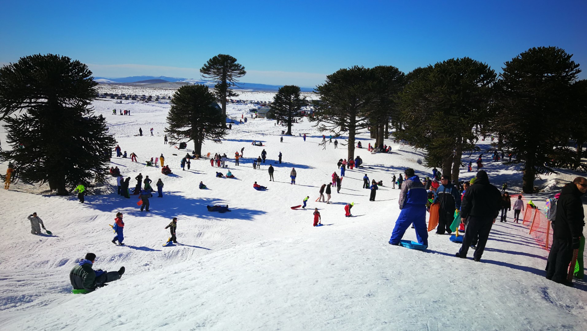 Lee más sobre el artículo 2019: Una primera visita a Primeros Pinos ❄❄⛷🏂🏞❄☃
