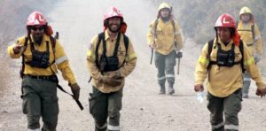 Lee más sobre el artículo De la montaña a la selva🔥🌳🔥