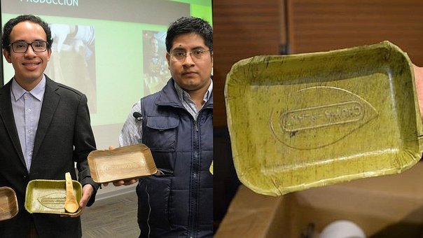 Lee más sobre el artículo Perú: crean platos biodegradables