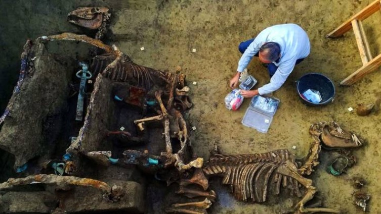 Lee más sobre el artículo Descubrieron fósil de un carro romano🏛🏟🐎🐎