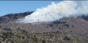 Lee más sobre el artículo Incendio forestal en Pulmarí 🔥🔥