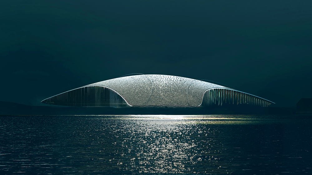 En este momento estás viendo El nuevo museo noruego, dedicado al avistamiento de ballenas