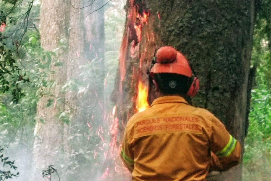 En este momento estás viendo PNLanín: Lograron extinguir foco ígneos🔥🔥🏞
