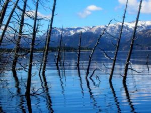 Lee más sobre el artículo Descartan  «tsunami» en el lago Traful 🌊🏞