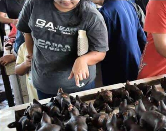 En este momento estás viendo Naaa! Mercado en Indonesia continúa vendiendo murciélagos, serpientes y animales exóticos 🦇