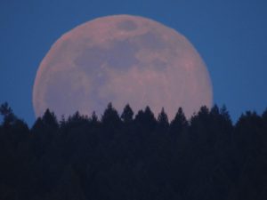 Lee más sobre el artículo «Luna de trueno»: cómo y cuándo ver el eclipse que podrá apreciarse esta madrugada 🌔