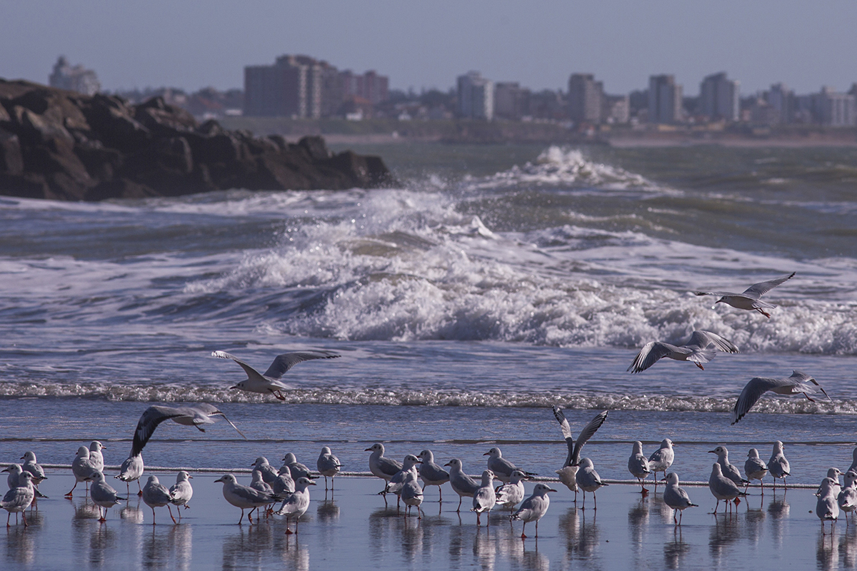 Lee más sobre el artículo Mar del Plata fue elegida por Naciones Unidas para integrar un proyecto de ciudades sostenibles y potenciar el turismo responsable 🏖