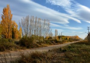 Lee más sobre el artículo Colores del altovalle 🍂🍂