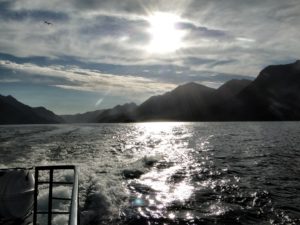 Lee más sobre el artículo Habilitan ingresos al Parque Nacional Los Arrayanes y el Nahuel Huapi 🏔