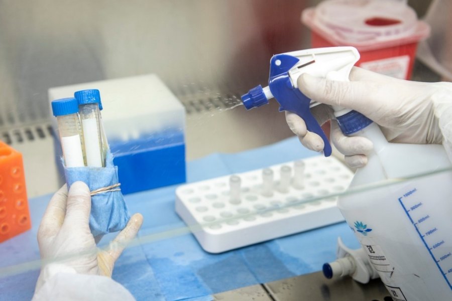 En este momento estás viendo Récord de casos de coronavirus en Argentina: 258 contagios y 5 muertos 😷