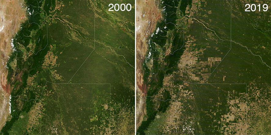 En este momento estás viendo La NASA publicó fotos alarmantes de la Deforestación en tres provincias Argentinas 🌳