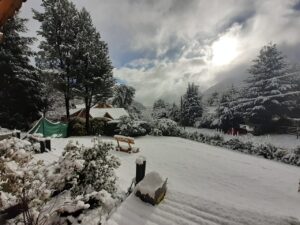 Lee más sobre el artículo Nieva en la zona cordillerana