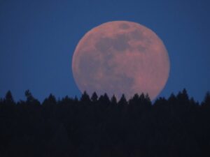 Lee más sobre el artículo Cómo puedes ver la Luna de Gusano este año, la primer superluna del 2022