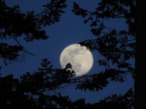Lee más sobre el artículo ¡Luz mágica en el cielo! Cómo y cuándo disfrutar la «Luna de Nieve» de febrero