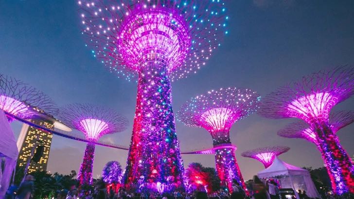 En este momento estás viendo ‘Súper árboles’ artificiales de 50 metros que generan energía solar en Singapur 🏝