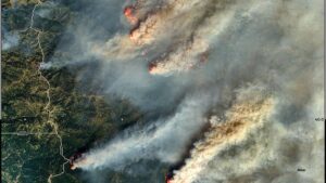 Lee más sobre el artículo Crisis climática: California vive los peores incendios de su historia 🔥