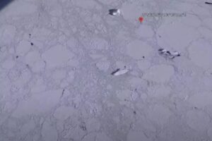 Lee más sobre el artículo Hallan enorme «barco de hielo» por Google Earth y crecen las teorías conspirativas 🚢