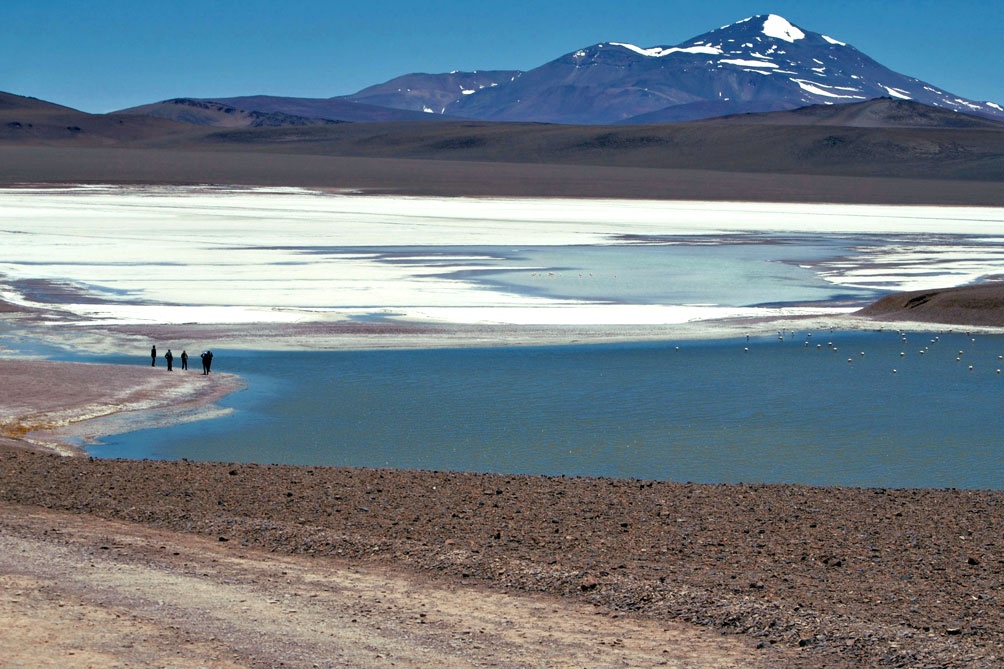 En este momento estás viendo Turismo ecológico: opciones argentinas ideales en 23 humedales declarados sitios Ramsar 🙌🏻