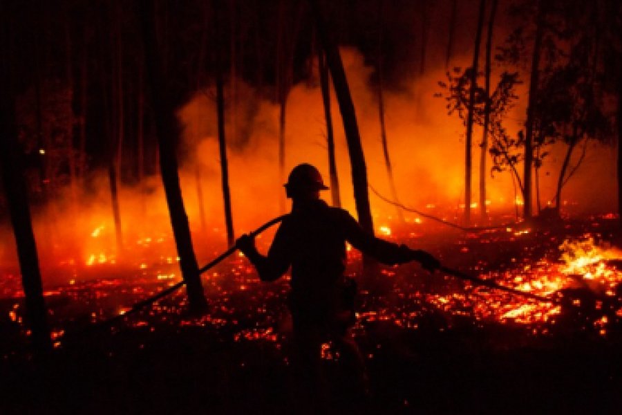 En este momento estás viendo Los investigadores encontraron dos puntos de origen de los incendios en Chubut y Río Negro