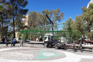 Lee más sobre el artículo Neuquén tiene su pinito de Navidad 🎄