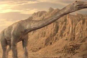 Lee más sobre el artículo El dinosaurio hallado en Neuquén podría ser el animal más grande de la historia 🦕