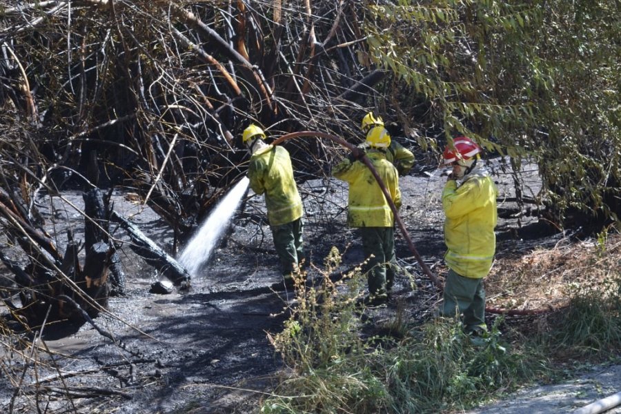 Lee más sobre el artículo El incendio en El Bolsón está contenido, pero no controlado 🔥