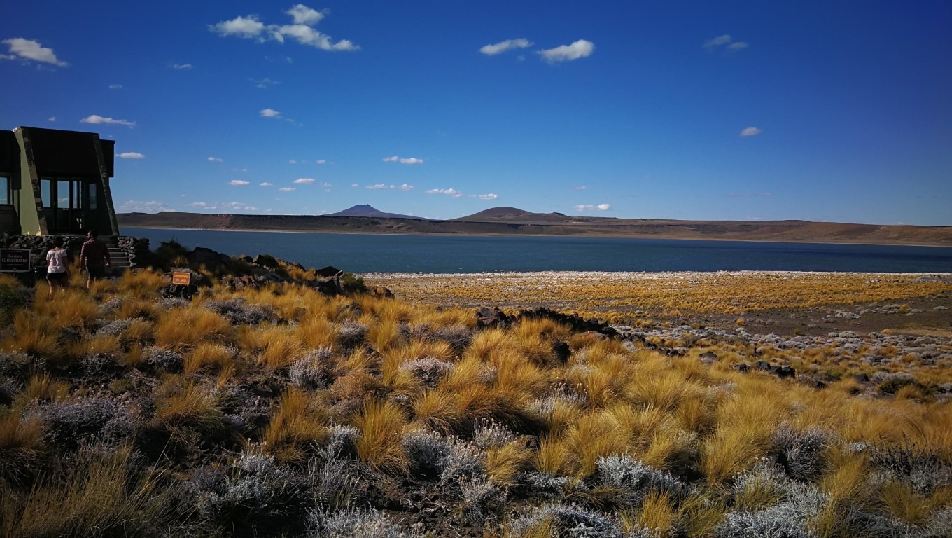 En este momento estás viendo El Parque Nacional Laguna Blanca celebra el Mes de los Humedales