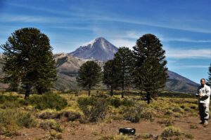 Lee más sobre el artículo Parque Nacional Lanin: Nueva tecnología para el conteo de conos en araucarias