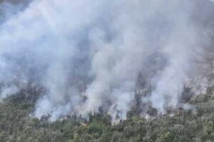 Lee más sobre el artículo Chubut y Río Negro mantienen focos activos de incendio forestales