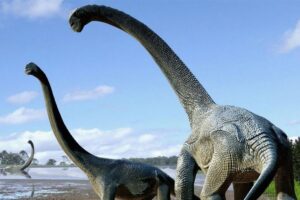 Lee más sobre el artículo Anuncian que el titanosaurio más antiguo fue descubierto en Neuquén