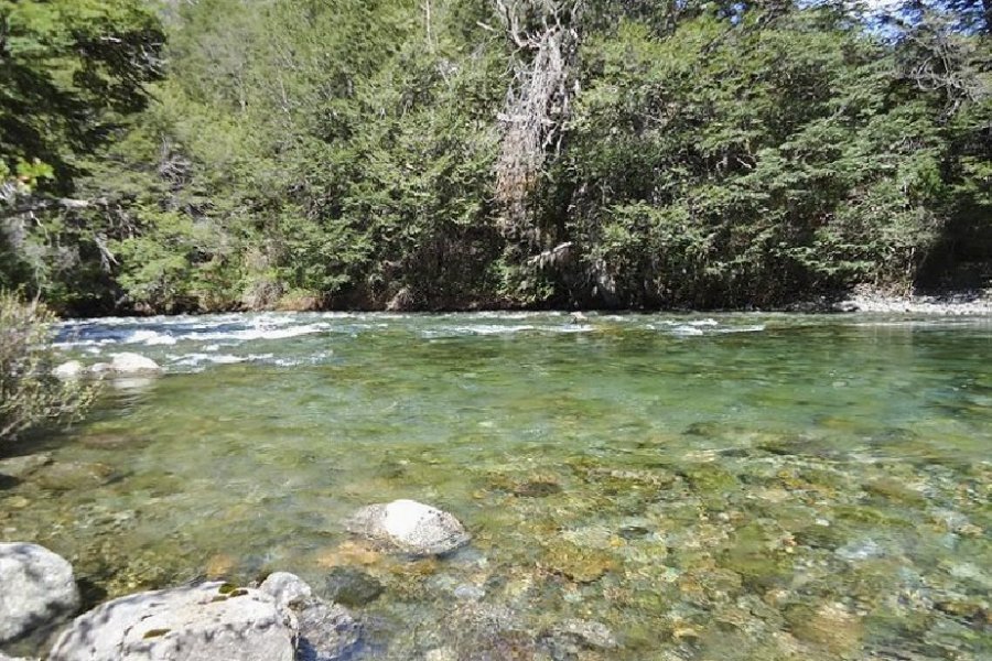 Lee más sobre el artículo Trabajan en el ordenamiento del uso público del Área Natural Protegida Río Azul Lago Escondido
