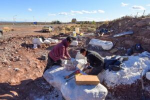 Lee más sobre el artículo Extraen más restos del dinosaurio hallado en Villa El Chocón