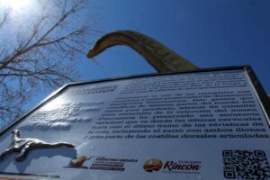 Lee más sobre el artículo Nueva cartelería inclusiva en el Parque de Dinosaurios Rinconsaurus