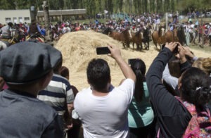 Lee más sobre el artículo Neuquén: Febrero a pleno de Fiestas Populares