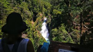 Lee más sobre el artículo Vení, descubrí la Cascada Chachín 