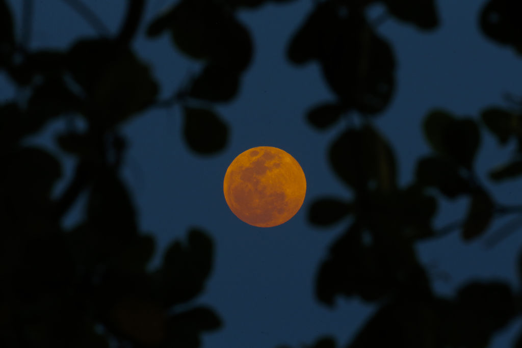 Así se vio el espectacular eclipse total con luna de sangre