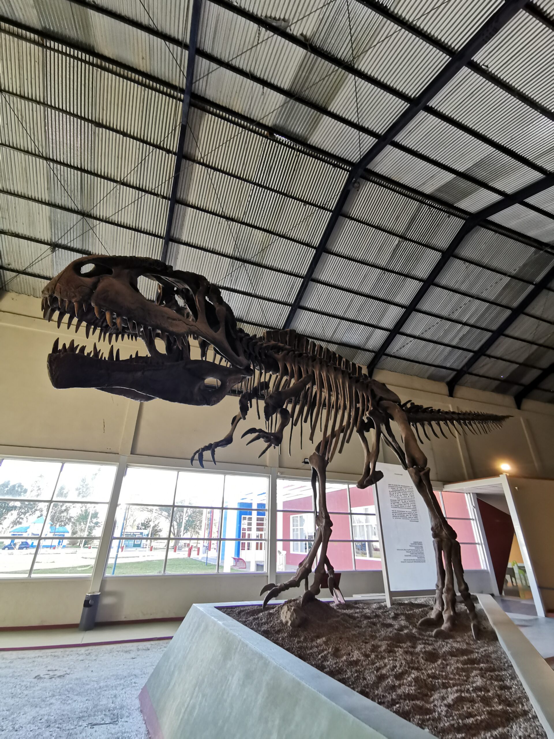Lee más sobre el artículo (VIDEO) Turismo Paleontológico: nos vinimos a conocer el museo Carmén Funes en Plaza Huincul