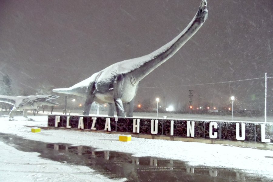 Lee más sobre el artículo Así quedó el Dino de Plaza Huincul con la nieve 🦕