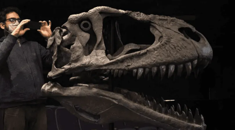 Lee más sobre el artículo Neuquén: presentan en la provincia un nuevo dinosaurio carnívoro gigante  🦖🦕