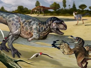 Lee más sobre el artículo Encontraron en Plaza Huincul un dinosaurio depredador de un tamaño inesperado