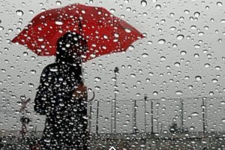 Lee más sobre el artículo El pronóstico para esta semana: ¿Cuándo llega la lluvia?