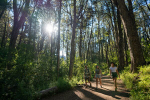 Lee más sobre el artículo Finde largo: Mirá el estado de áreas, sendas y caminos en el Parque Nacional Nahuel Huapi