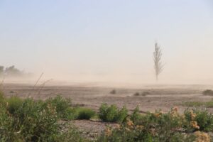 Lee más sobre el artículo Pronóstico en Neuquén: viento y descenso de la temperatura para los próximos días