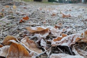 Lee más sobre el artículo Semana con días de invierno en Neuquén: la mínima será de 5° bajo cero