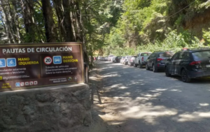 Lee más sobre el artículo Nuevas medidas para un mejor disfrute de la Seccional Gutiérrez