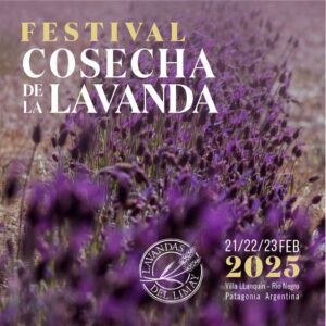 Lee más sobre el artículo Villa Llanquín ¡El Festival de la Cosecha de la Lavanda 2025 te espera en un entorno de ensueño!