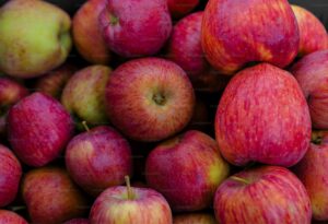 Lee más sobre el artículo Llega la 8ª edición del Frutazo de la UNCo: un festín de sabores y saberes en el Alto Valle