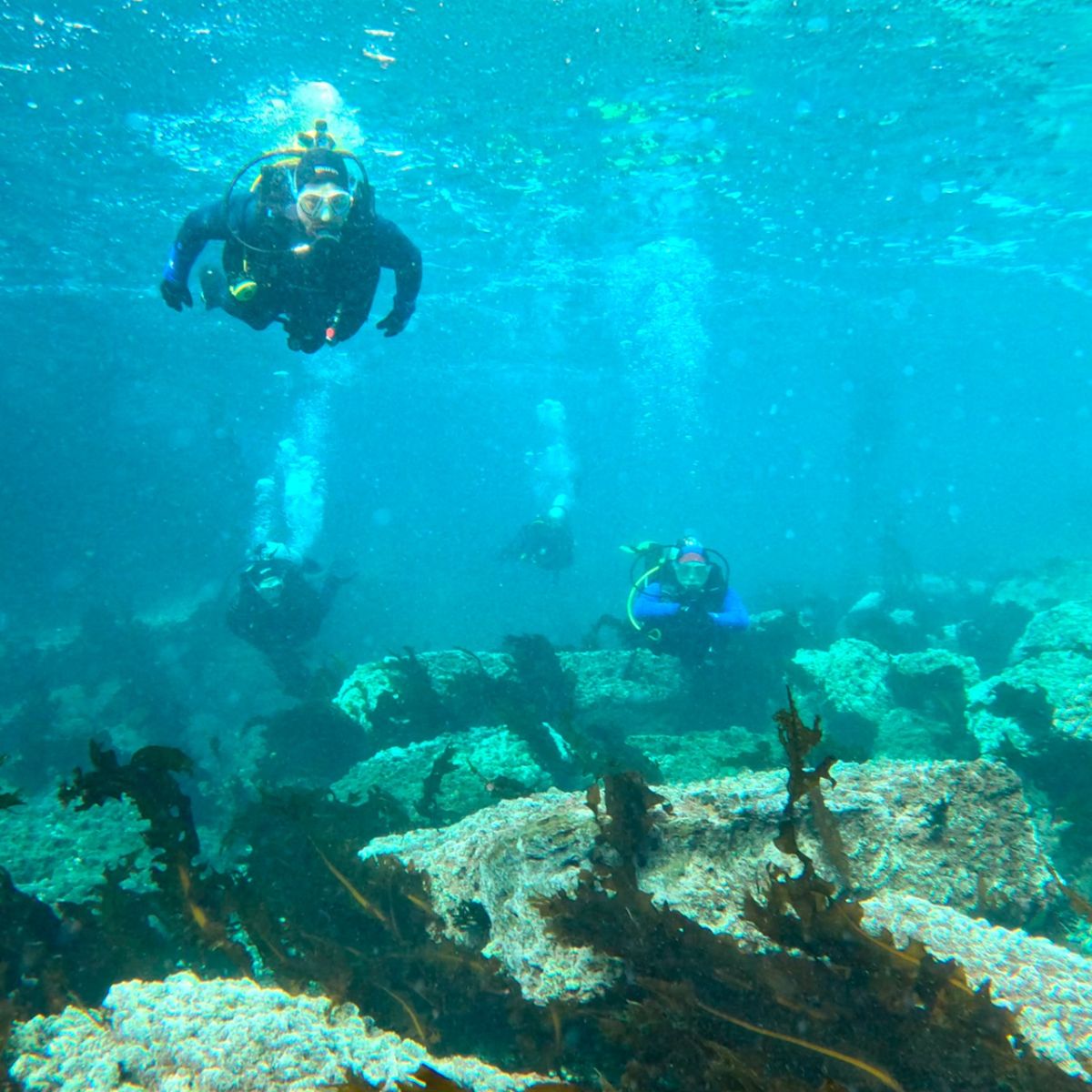 Comodoro con viento a favor: vuelos directos, 3×2 y una escapada perfecta para los neuquinos